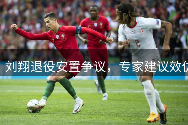 刘翔退役安置争议，专家建议效仿苏炳添模式
