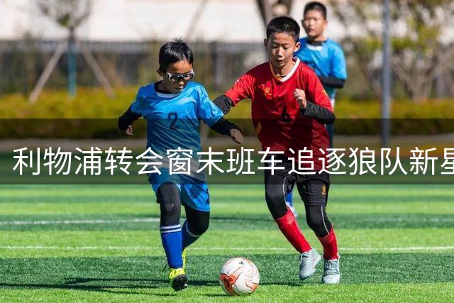 利物浦转会窗末班车追逐狼队新星未成
