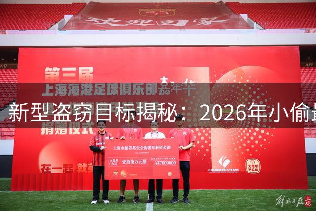 新型盗窃目标揭秘：2026年小偷最爱偷这些物品