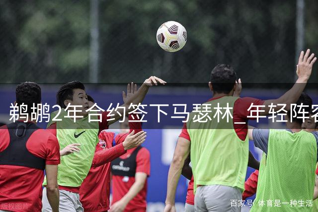 鹈鹕2年合约签下马瑟林 年轻阵容存变数